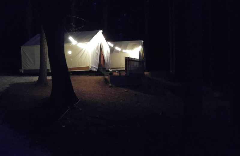 Campground at Precious Forest.