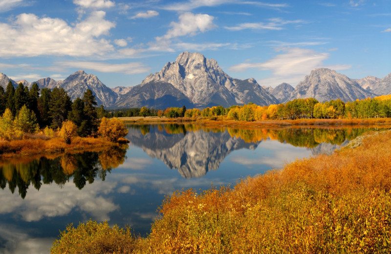 Fall at Island Park Reservations.