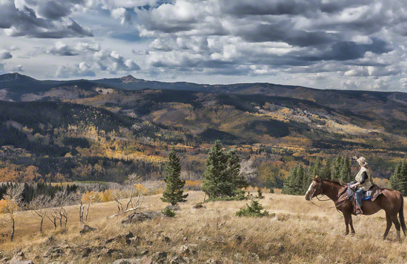 Horseback riding at Wild Skies Cabin Rentals.