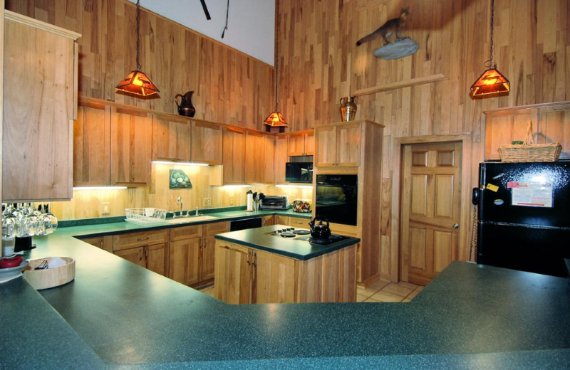 Vacation rental kitchen at Slope-Side Accommodation.