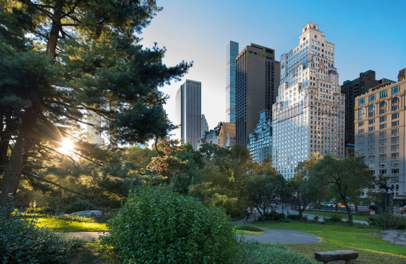 Central park near The Ritz-Carlton New York, Central Park.