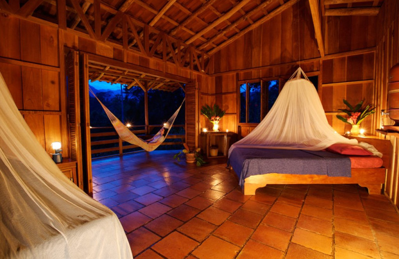 Guest room at Selva Bananito Lodge.