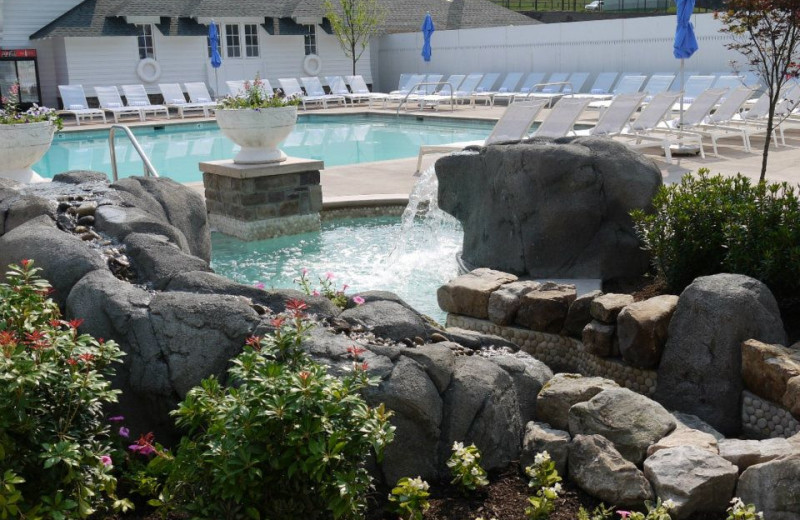 Pool area at The Homestead.