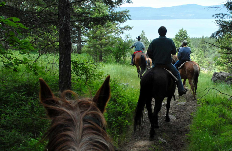 Horseback riding at Averill's Flathead Lake Lodge.