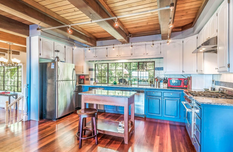 Rental kitchen at Woodfield Properties.