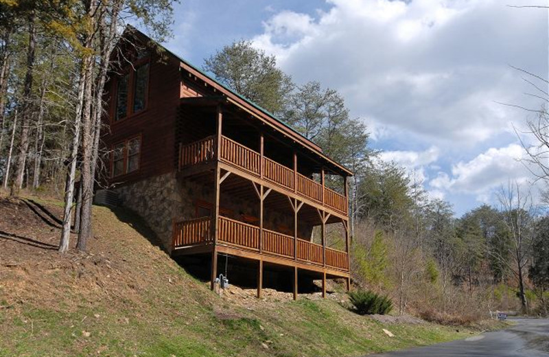 Pigeon Forge Vacation Rentals Cabin Camelot 266 Aunt Bug S