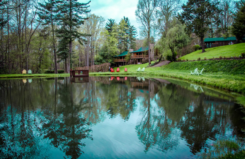 Exterior view of Asheville Cabins of Willow Winds.