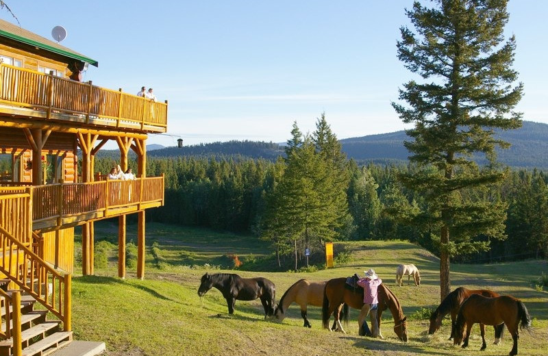 Exterior view of The Hills Guest Ranch.