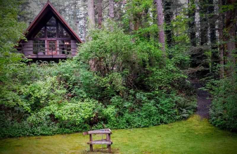 Cabin exterior at Zen River Retreat.