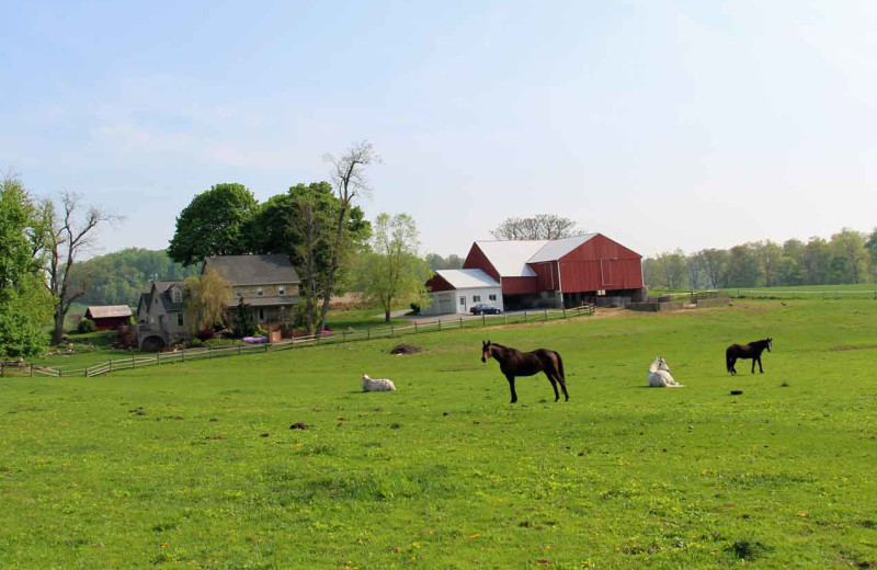 Farm at Olde Stone Guesthouse.