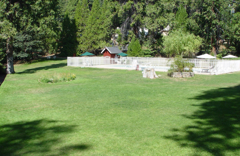 Grounds at Long Barn Lodge.