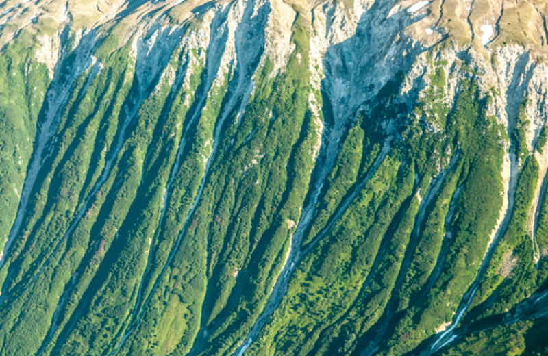 Aerial view of Angry Eagle Lodge & Outfitters.