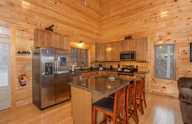 Kitchen at American Patriot Getaways - Happy Bear's Hideaway.