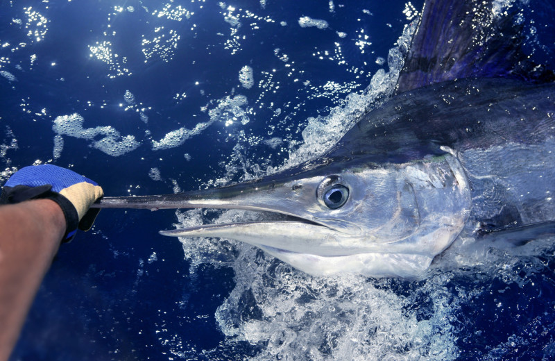 Fishing at Starkey Properties.