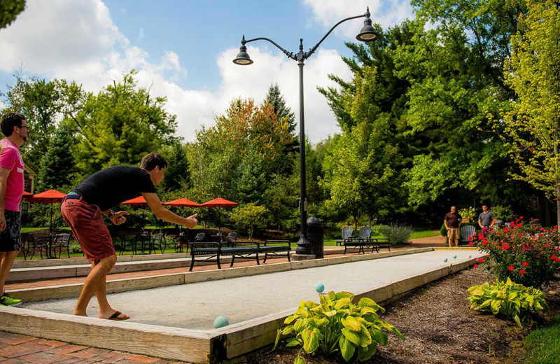 Games at Gervasi Vineyard.