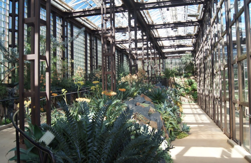 Gardens at Callaway Gardens.