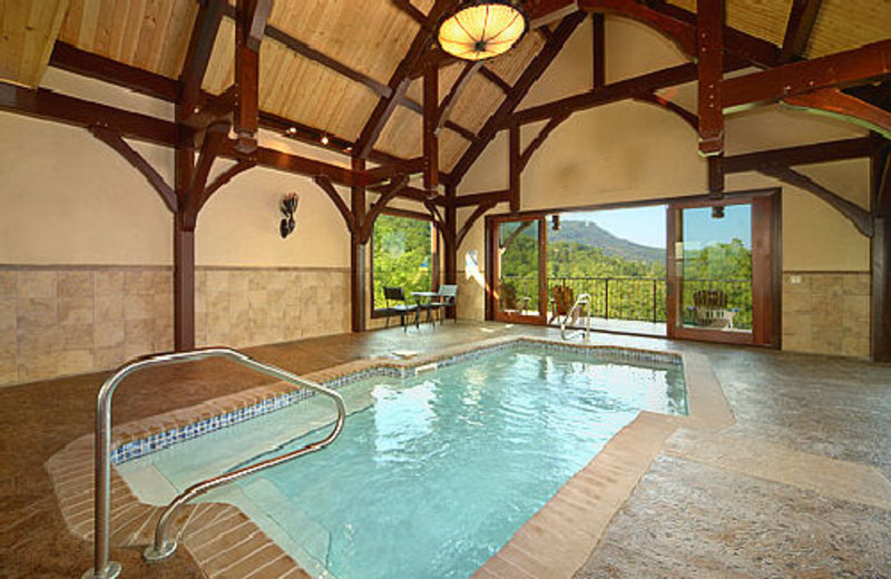 Cabin Fever (Hendersonville, NC) - Resort Reviews ...