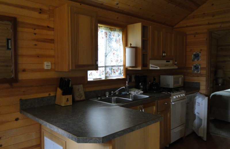 Cabin kitchen at Shakti Cove Cottages.