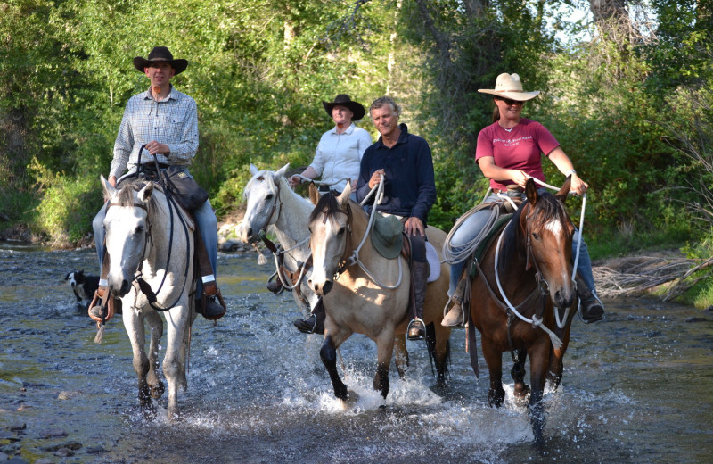 Horseback riding at Rocking Z Ranch.