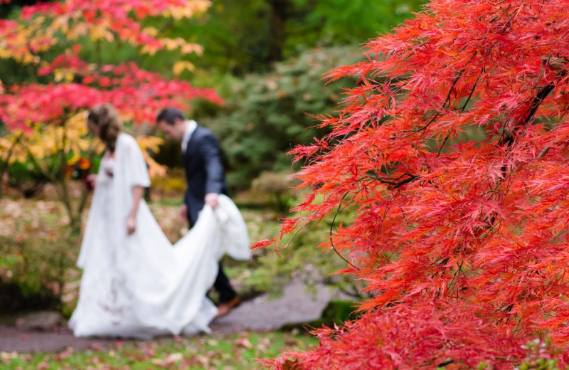 Wedding at Cascade Village Condominiums.