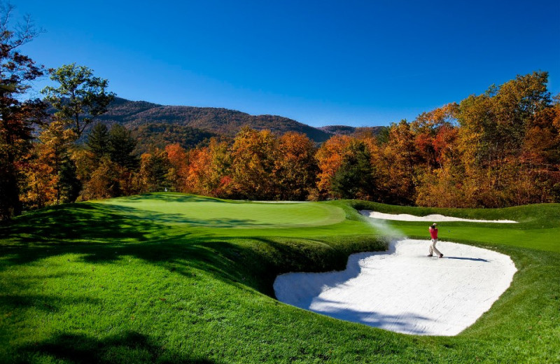 The Greystone Inn (Lake Toxaway, NC) - Resort Reviews