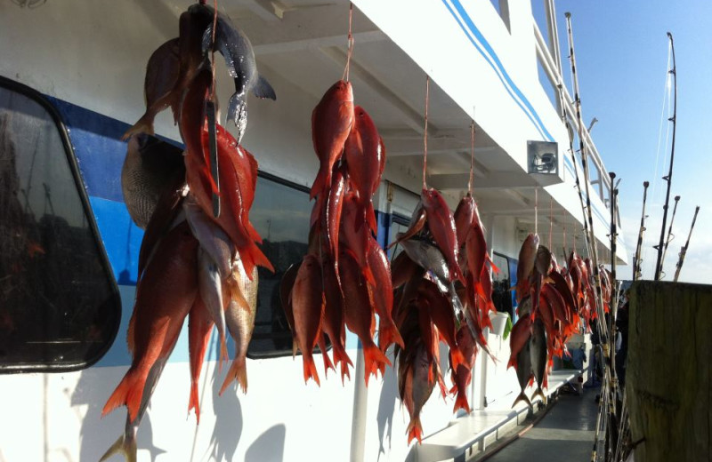 Fishing at Sterling Resorts.