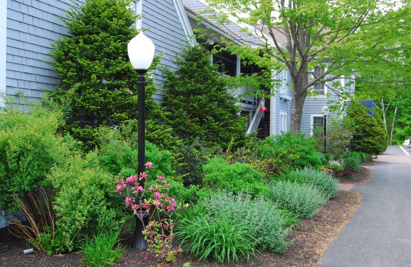 Garden at Cod Cove Inn.