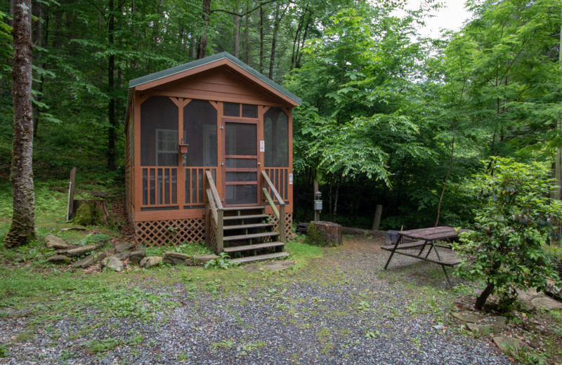 Cabin exterior at Yogi in the Smokies.