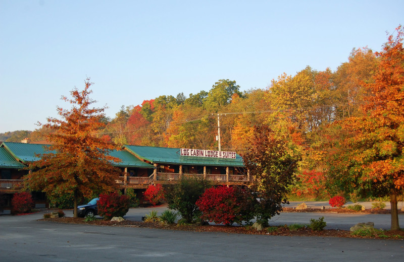 Exterior view of Log Cabin Motel 