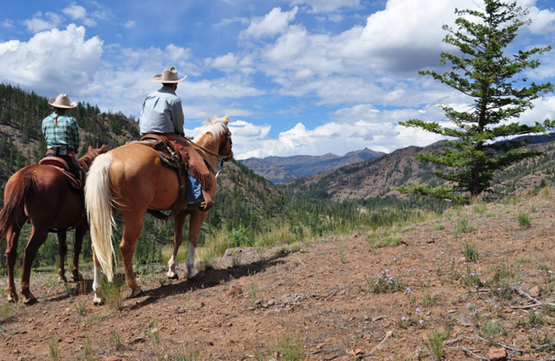 Horseback riding at Crossed Sabres Ranch.