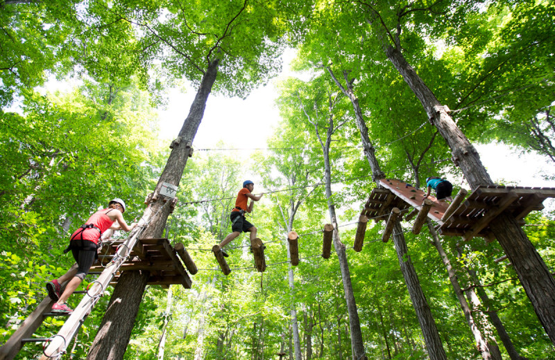 Adventure ropes at Deerhurst Resort.