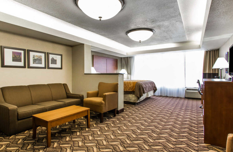 Guest room at Comfort Inn 