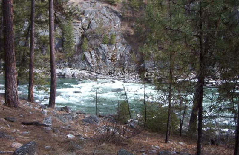 River view near Silver Spur Outfitters.