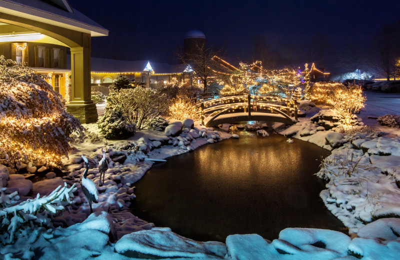 The front pond in Winter!
