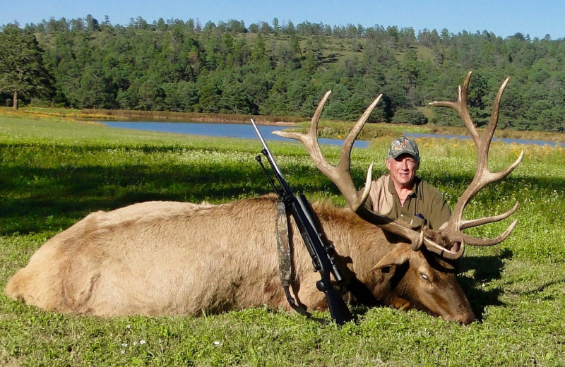 Elk hunting at El Durangueño.