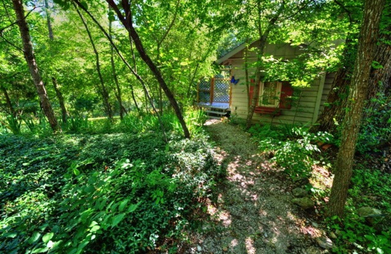 Rental exterior at Amazing Branson Rentals.