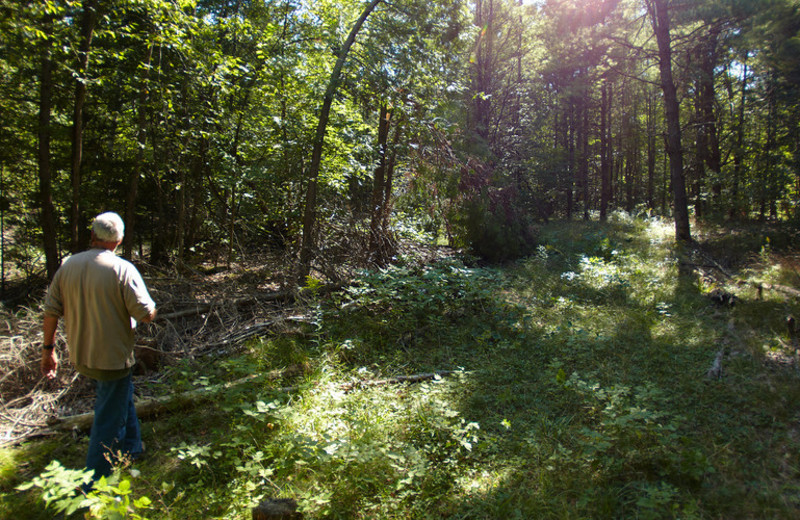 Hiking at Fernleigh Lodge.