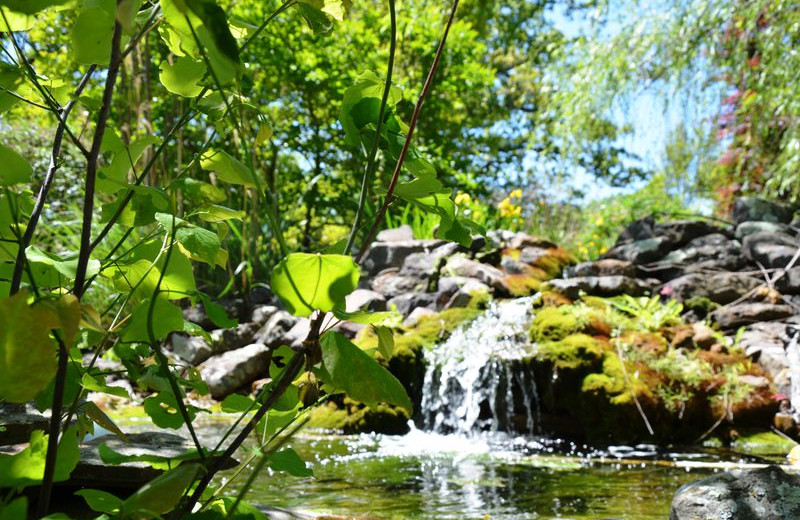 Waterfall at Amazing Branson Rentals.
