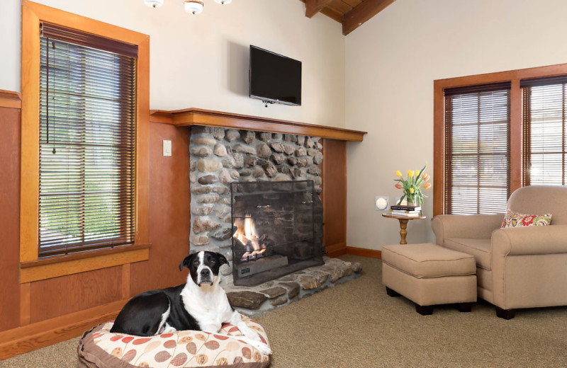 Your furry family member's stay includes usage of a cozy dog bed and bowl. 