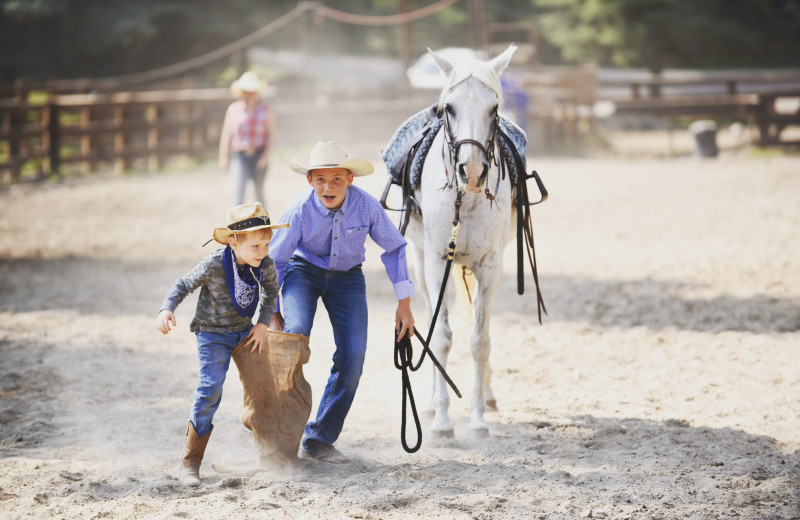 Dude ranch at Averill's Flathead Lake Lodge.