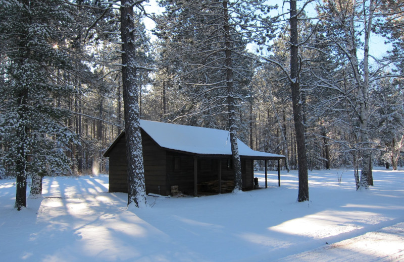 Cabin exterior at Timber Bay Lodge & Houseboats.