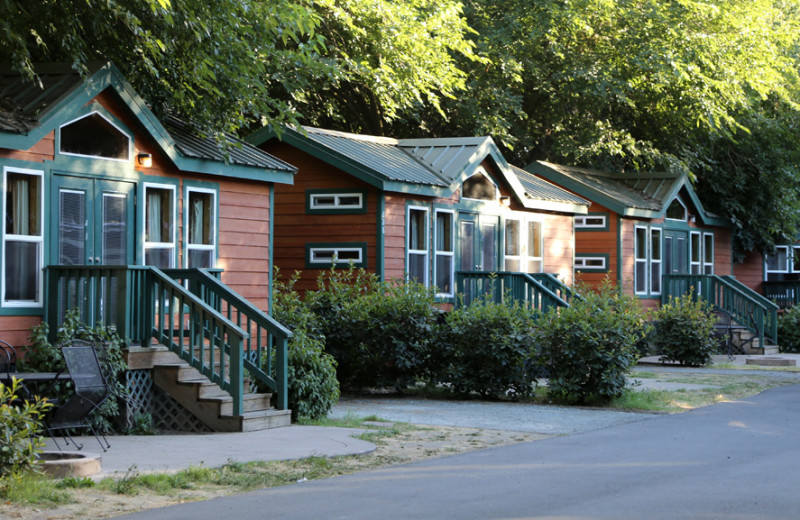 Yogi Bear's Jellystone Park Camp-Resort Tower Park (Lodi ...