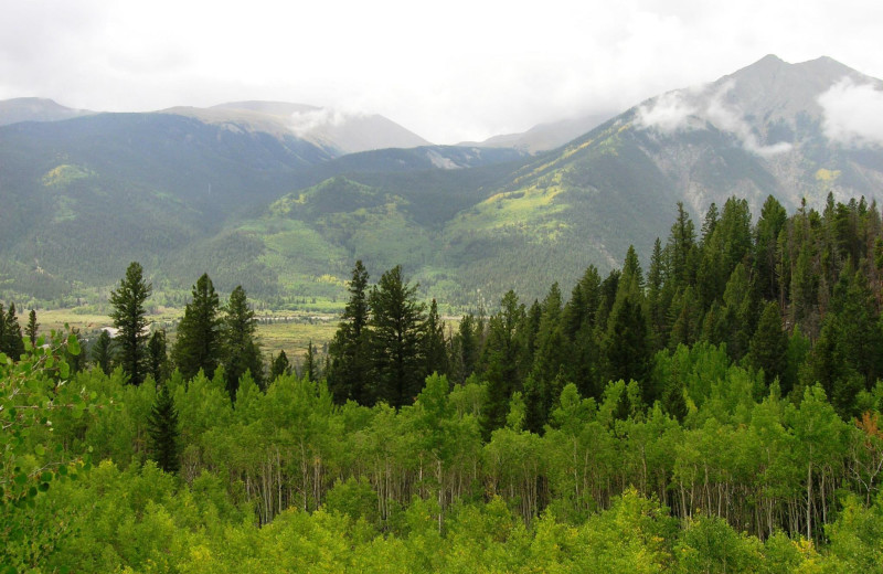 San Isabel National Forest at Twin Lakes, with 11