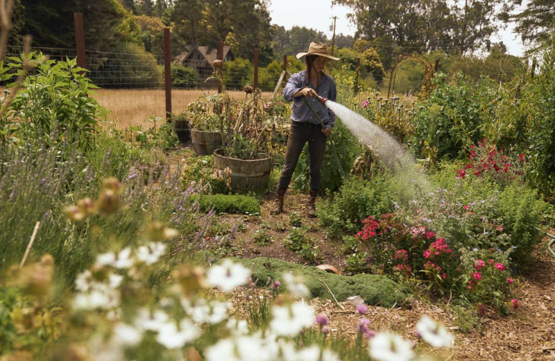 Garden at SCP Mendocino Inn and Farm.