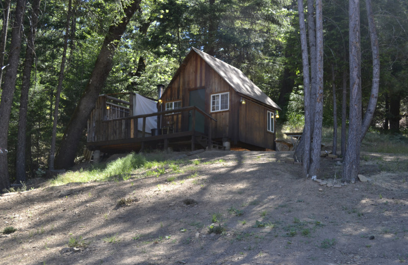 Cabin at Precious Forest.