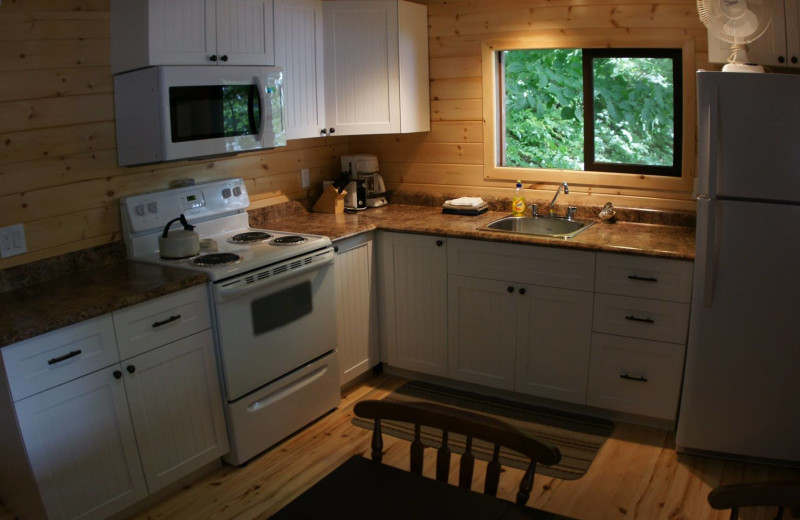 Cabin kitchen at Northern Lights Resort.