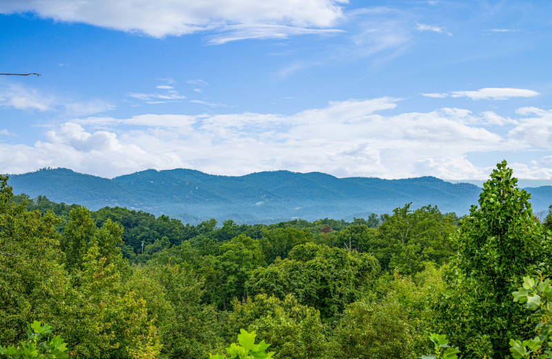 View from American Patriot Getaways - Pool & A View.