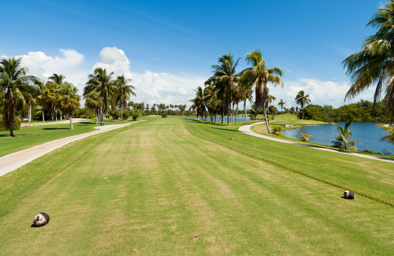 Golf near Key West Vacation Rentals.