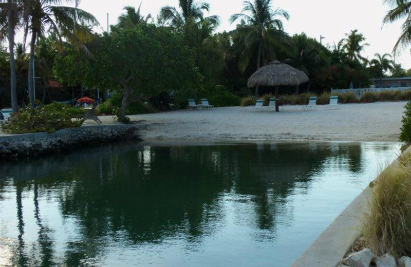 Beach at Coral Bay Resort.