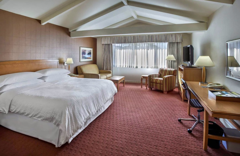 Guest room at Four Points by Sheraton Plainview Long Island.